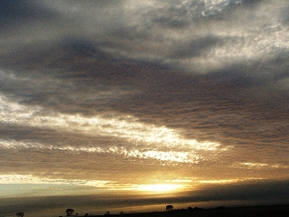 cielo dorato grandangolo