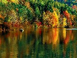 lago incantato fiabesco con riflessi di alberi variopinti