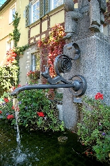 fontana romantica