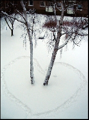 amore sulla neve tra gli alberi